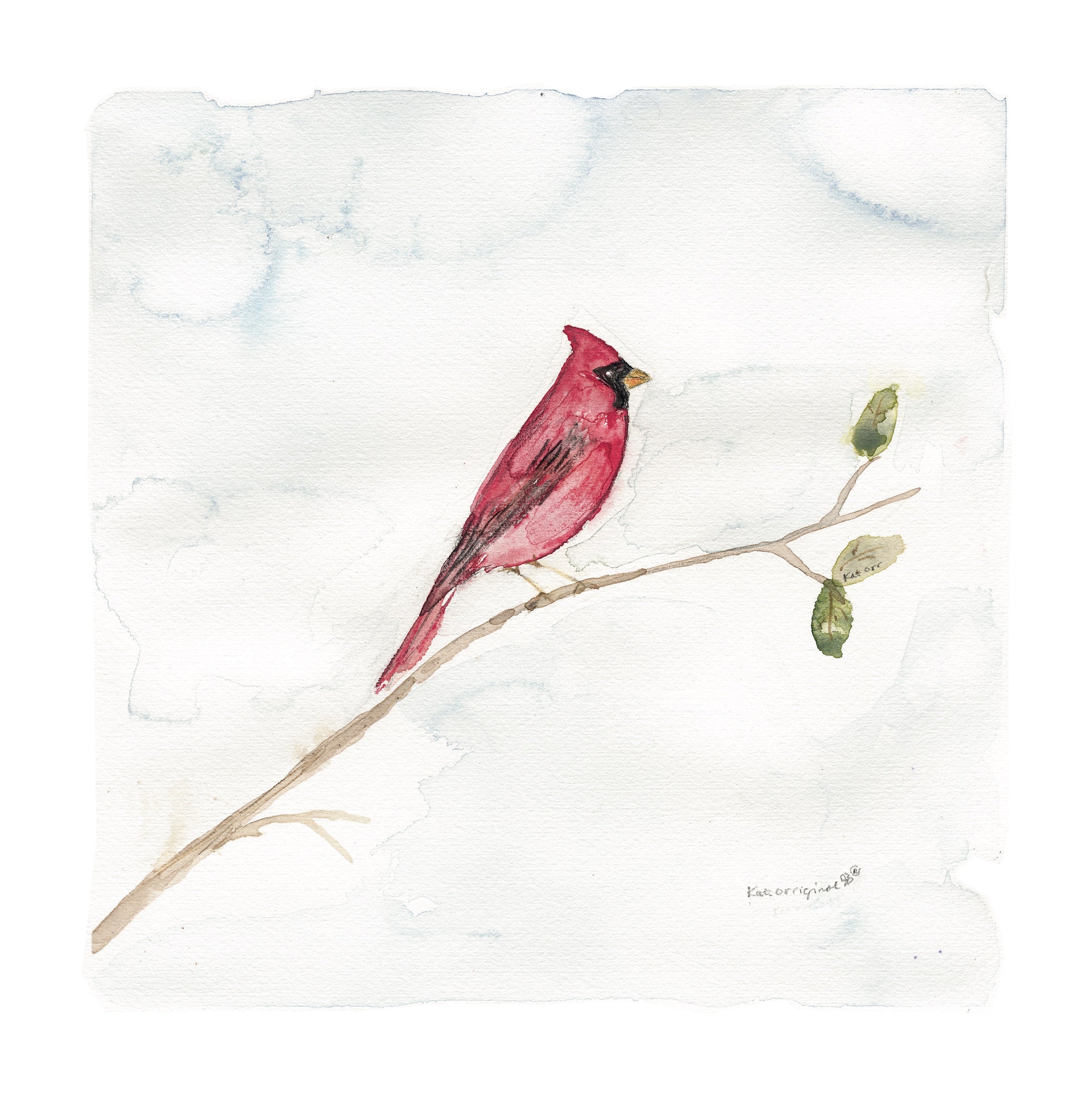 Mr. Cardinal watercolor painting reproduced on stationery