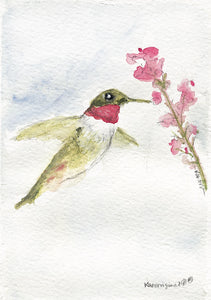 “Hummingbird Inflight” Original Watercolor Painting